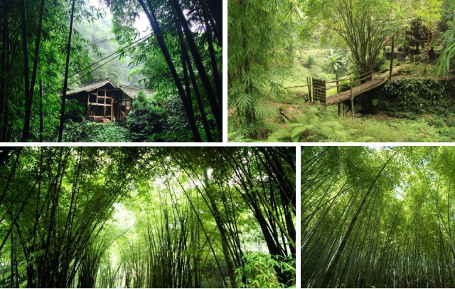 “春遊踏青季，團(tuán)建(jian)收心時“山(shān)美特2018春季團(tuán)建(jian)活動(dòng)及(ji)場(chang)地推薦17.jpg