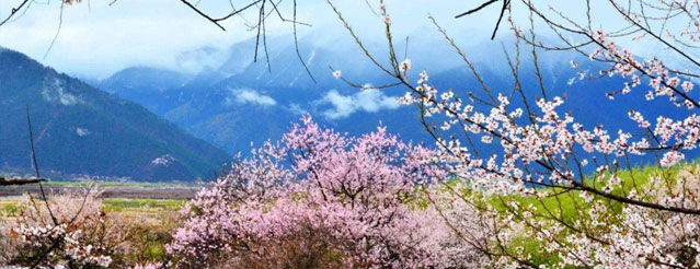 “春遊踏青季，團(tuán)建(jian)收心時“山(shān)美特2018春季團(tuán)建(jian)活動(dòng)及(ji)場(chang)地推薦7.jpg
